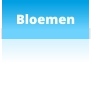 Bloemen
